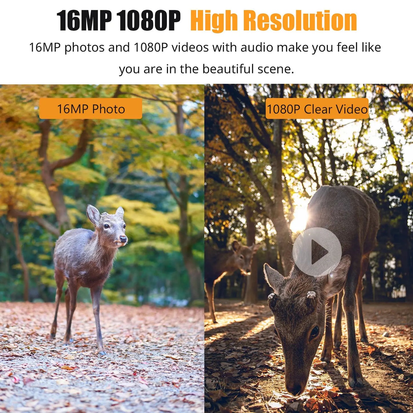 Qiilu 1080P Trail Camera With 16MP Infrared Night Vision